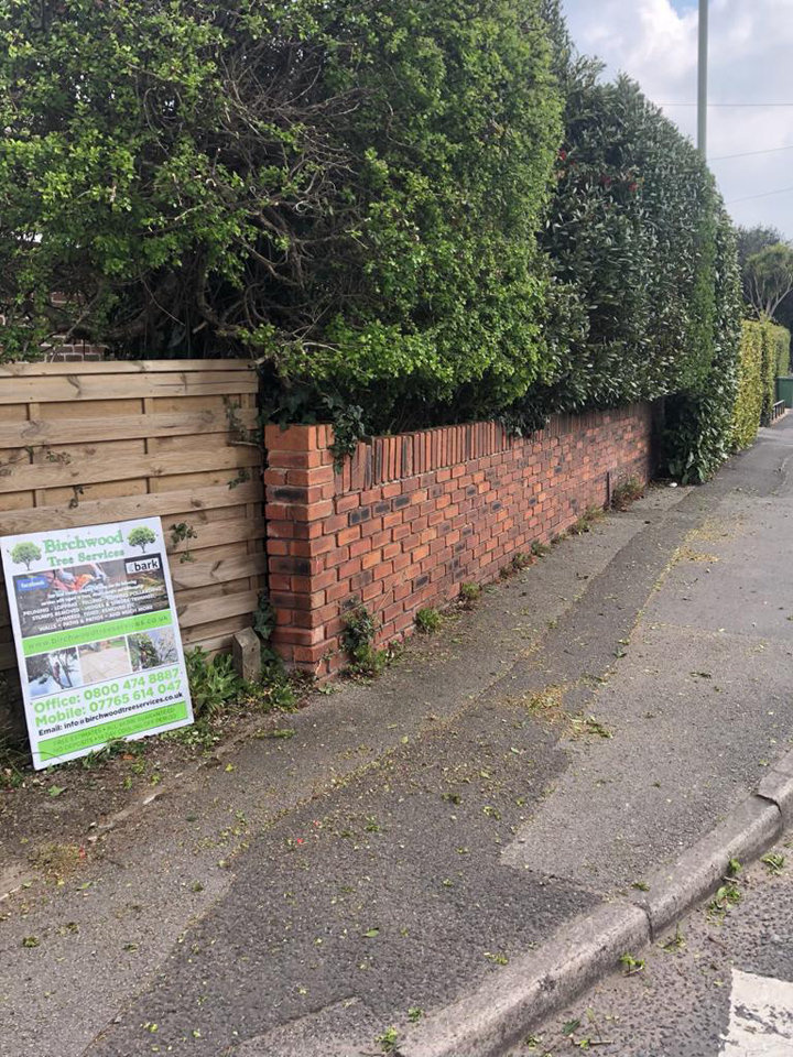 Hedge Trim